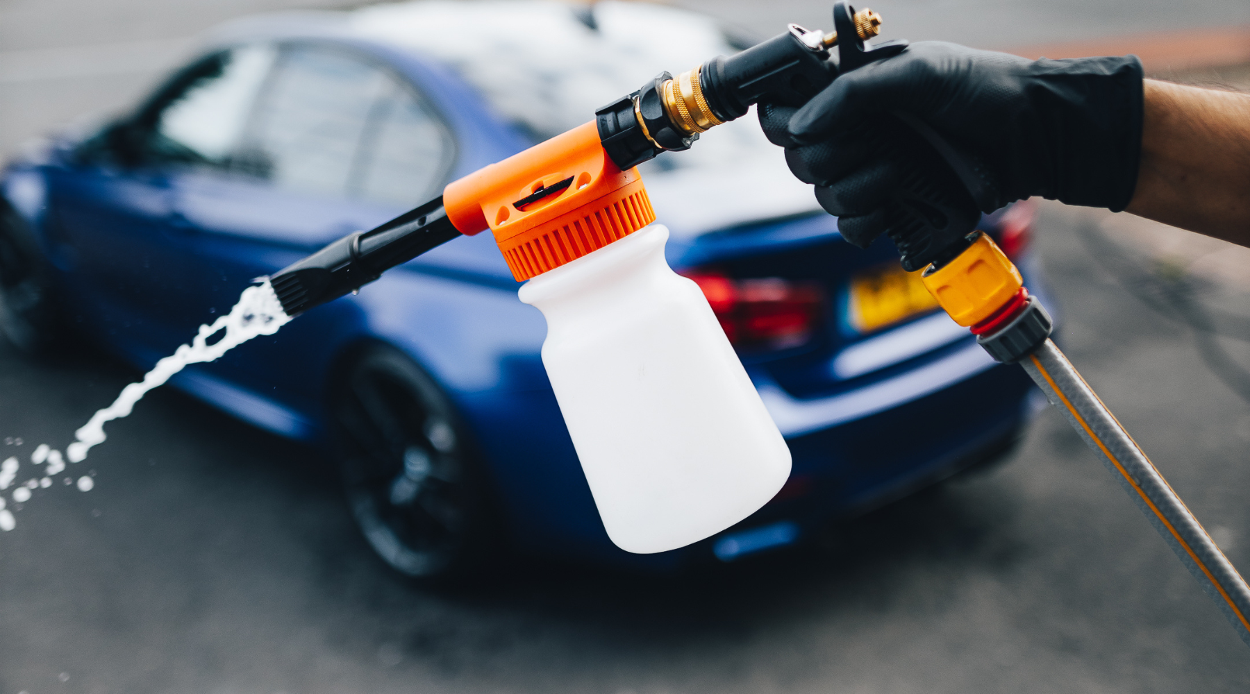 Bird Poo or Etching On Your Paint?