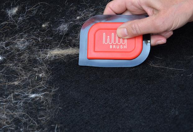 Lilly Brush Mini Pet Hair Detailer