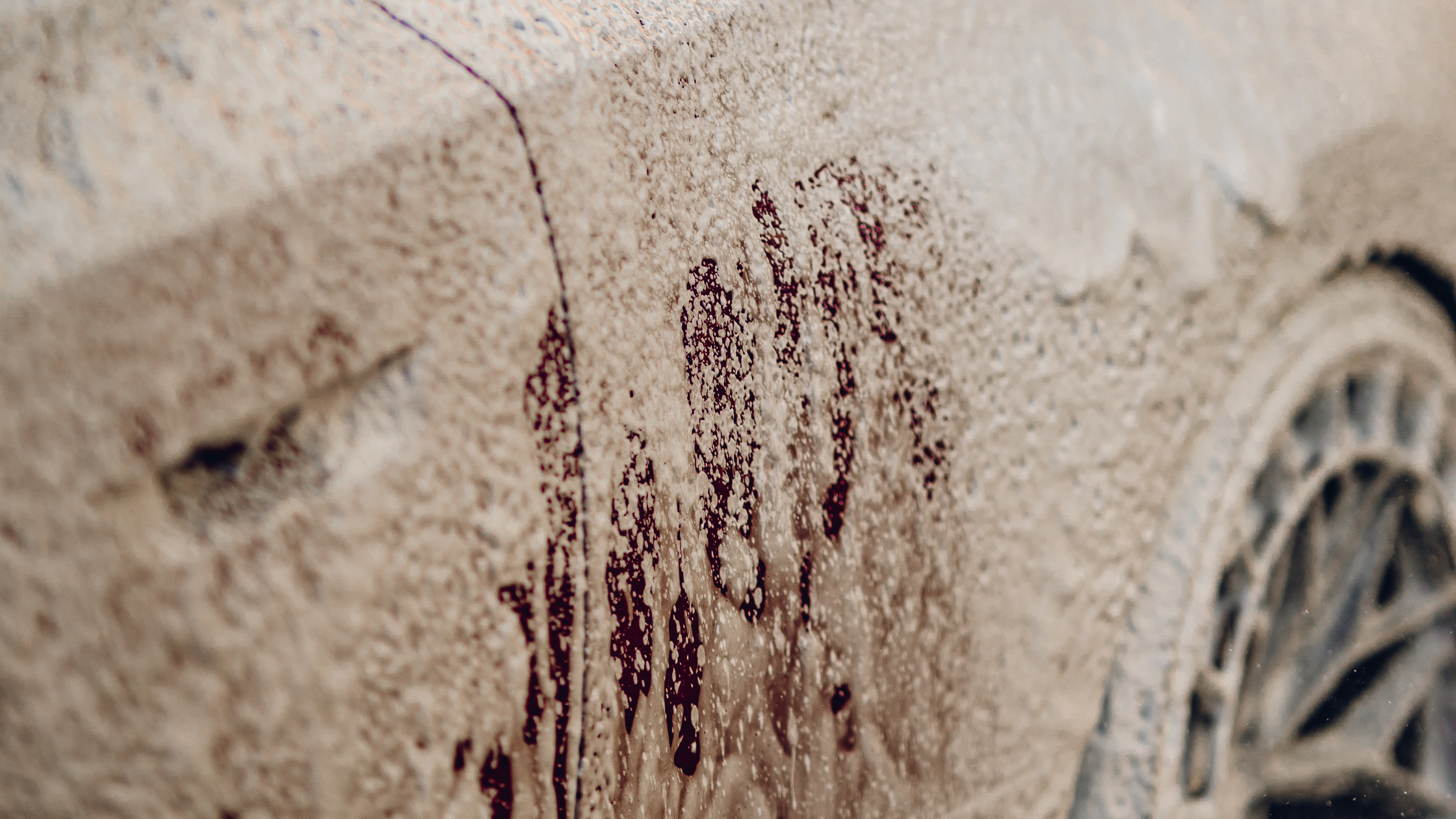 Car Detailing for Dummies - Detailing Myths Busted. Stop Believing These!