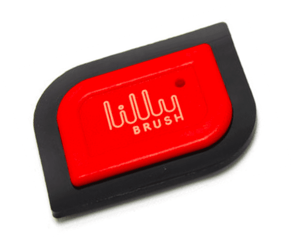 Lilly Brush Mini Pet Hair Detailer